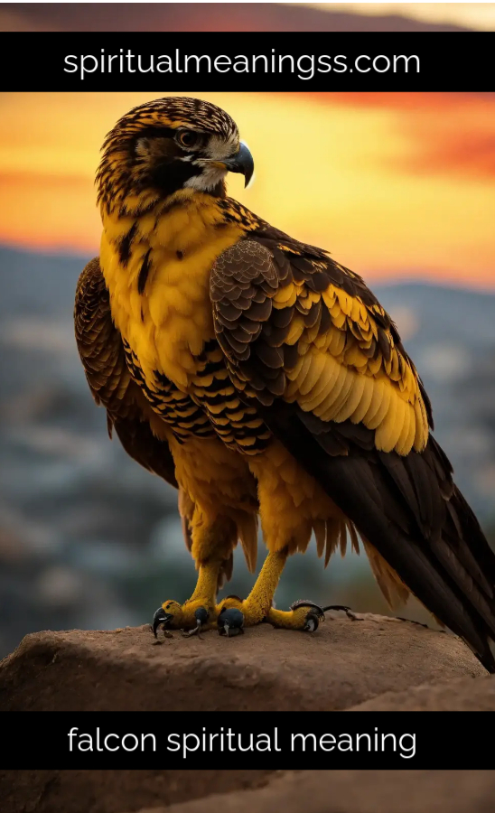 falcon spiritual meaning