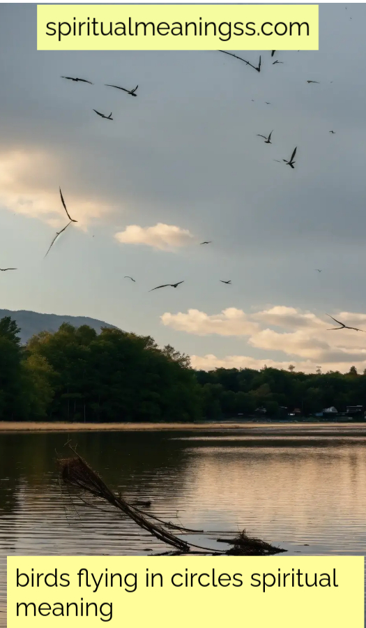 birds flying in circles spiritual meaning​