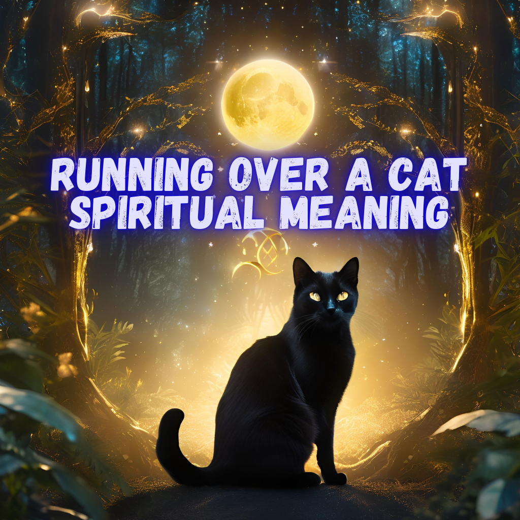 running over a cat spiritual meaning