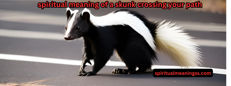 spiritual meaning of a skunk crossing your path