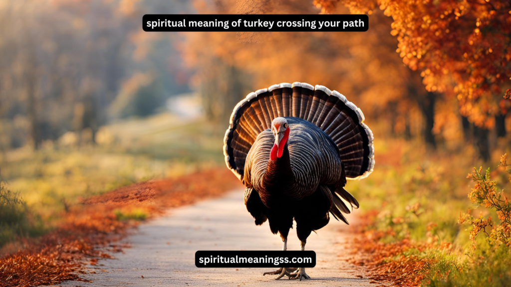 spiritual meaning of turkey crossing your path