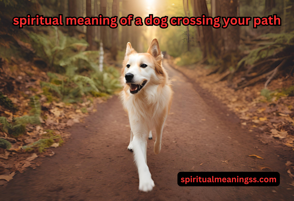 spiritual meaning of a dog crossing your path​