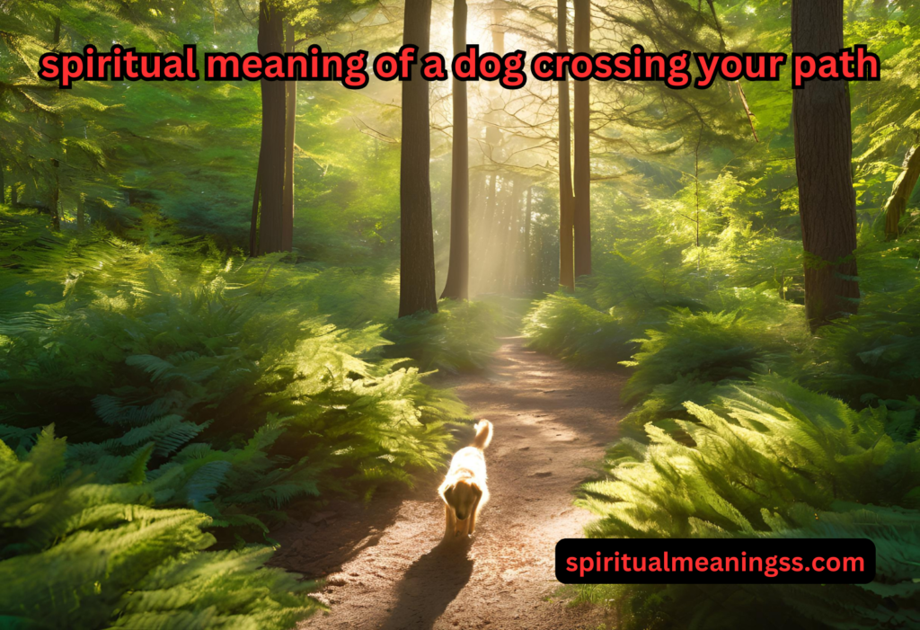 spiritual meaning of a dog crossing your path​