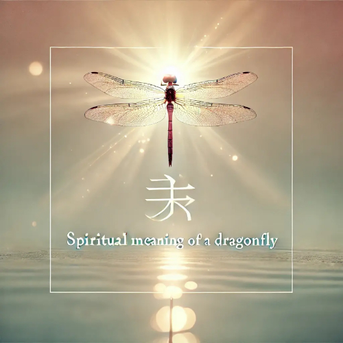 spiritual meaning of a dragon fly