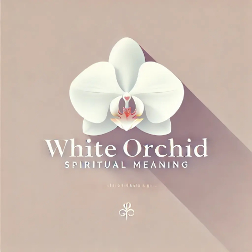 white orchid spiritual meaning